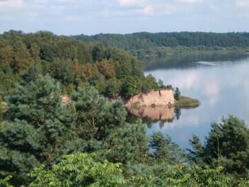 Фото номера Бунгало Делюкс с видом на сад Дома для отпуска Dream forest house of Kaunas Reservoir г. Šlienava 25